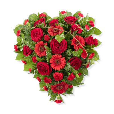 Red Heart Tribute - A Heart-shaped tribute in shades of red.



Your florist will create this stunning solid heart-shaped tribute using a selection of mixed variety flowers, from those best available from the season. The flower stems are cut fairly short and inserted into water carrying florist oasis foam, so the tribute will retain its shape for days to come.

Varieties often include: chrysanthemums, bloom chrysanthemums, roses, carnations, spray carnations, lizianthus, solidago, gypsophila, wax flower, september flower, germini, spray roses, freesia, tulips, eucalyptus, parviola, leather leaf, myrtle, mint, rosemary, thyme, oregano, hypericum berries and eryingium.

This is a less modern and more formal style tribute, still popular today, due to its long-lasting properties. A heart shape is truly representative of love and makes an ideal tribute for a lost loved one. In this tribute we have used mainly red roses, red carnations and red germini.