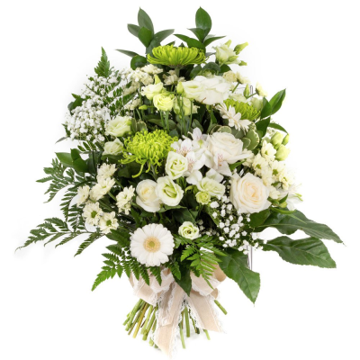 White and Green Sheaf - Tied Sheaf  in White & Green.



A very naturally styled arrangement of fresh flowers and foliages.

Your florist will choose the best flowers of the season, and a tie them into a hand-tied sheaf style arrangement. A sheaf is a bit like a bunch or bouquet, but the stems are spiralled and bound, preventing them from becoming dislodged. Once arranged they can be left natural, without further wrapping, or protected slightly by using florist paper or cellophane underneath to provide some support during transit.

Varieties often used will include: oriental lilies, longi lilies, chrysanthemums, bloom chrysanthemums, roses, lizianthus, solidago, september flower, statice, gypsophila, waxflower, carnations, spray carnations, eryngium, hypericum berries, eucalyptus, ruscus, palm leaves, aspidistra leaves, twigs, steel grass, and bere grass.